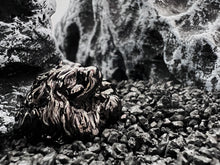 画像をギャラリービューアに読み込む, Nemean Lion Head [GB]
