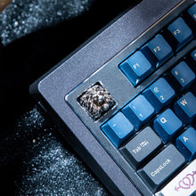 画像をギャラリービューアに読み込む, Nemean Lion Head [GB]
