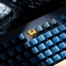 画像をギャラリービューアに読み込む, Nemean Lion Head [GB]
