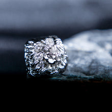 画像をギャラリービューアに読み込む, Nemean Lion Head [GB]
